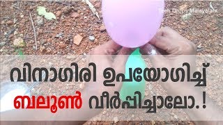 Vinager vs baking soda + ballon expiriment | വിനാഗിരി ഉപയോഗിച്ച് ബലൂണ്‍ വീര്‍പ്പിക്കാം |