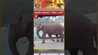 ஊரையே அலறவிடும் \