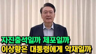 윤석열 대통령 체포에 대한 나의생각 /// 지지율 전망 /// 다윗이 되어버린 윤석열