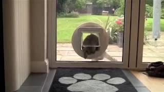 SureFlap Microchip Pet Door   Glass Installation