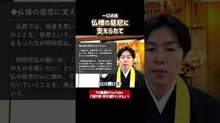 【一口法話】仏様の慈悲に支えられて④　#仏教　#法話　#浄土真宗本願寺派　#お寺　#ウェルビーイング　#癒し　#健康　#教養