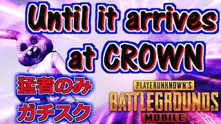 【猛者参加型PUBG MOBILEライブ配信】Until it arrives at CROWN！！絶対にクラウンに戻す！！【もこもこびーじー】