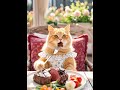 cat enjoys delicious roasted lamb ribs 🍖🐱 ai animal actions 貓咪吃烤羊排啦～今天烤羊排喵～