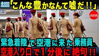 【海外の反応】「日本がこんなに豊かなんて嘘だ…」臨時着陸で成田空港に立ち寄ったギリシャ人乗務員たち、停電が起きた成田空港の姿に驚愕！その理由とは？【総集編】