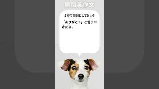 【瞬間英作文】「ありがとう」と言うべきだよ。