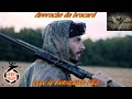 Chasse à l'approche et à l'affût du brocard; test de la Remington 783