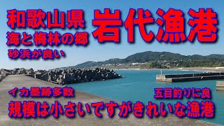 #128和歌山県岩代漁港海と梅林の郷が見える素敵な道規模は小さいですがきれいな漁港ファミリー家族連れサビキ釣りに良い雄大な海五目で色々な魚が良く釣れる漁港イカ墨跡多数階段があれば登ってみたいのが人の常