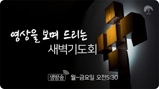 [큰나무교회] '무엇이 진짜일까'_새벽기도회20200903_김재성목사