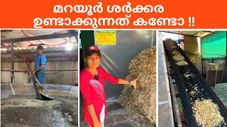 Marayoor Jaggery || അടിപൊളി ശർക്കര