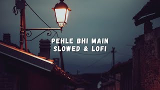 Pehle Bhi Main (Slowed + Reverb) | Vishal Mishra | Animal