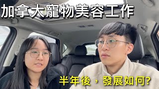 發展得有比多倫多好嗎？加拿大寵物美容工作！