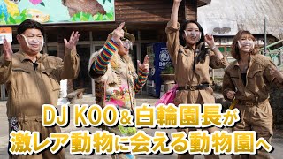 動物大好きDJ KOOさんがアミメニシキヘビ騒動で大活躍したiZoo白輪園長おススメの激レア動物に会える日本全国の知られざる動物園を巡る！（DJKOOのどうぶつ最KOOOO!!）