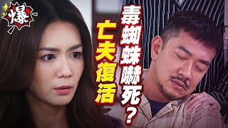 《多情大爆爆》多情城市 EP450 亡夫復活   毒蜘蛛嚇死？