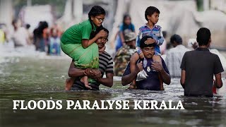 Kerala Floods 2018 | Kerala Paralysed by Floods | Kerala Floods Affected Areas