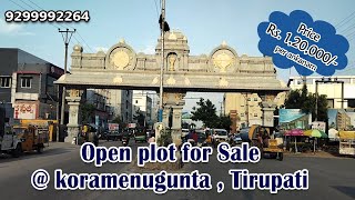 Open plot for Sale @ koramenugunta , Tirupati