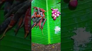 Kerala Traditional  SideDish for Rice | കനലിൽ ചുട്ടെടുത്ത മുളകുവെച്ച് നാടൻ രീതിയിലുള്ള ഒരു ചമ്മന്തി