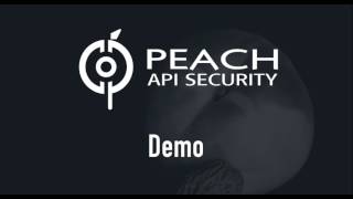 Peach API Security