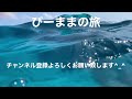 【沖縄】古宇利島！シュノーケルツアー！！