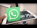 Can I Put Whatsapp on an iPad? - Thursday Questions 004 Can I Put Whatsapp on an iPad? - Thursday Questions 004