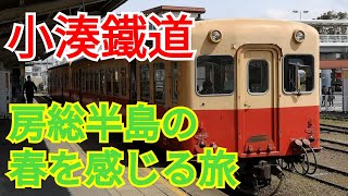 【ローカル線】小湊鉄道に乗って菜の花が咲く房総半島の春を感じてきました【五井→養老渓谷→上総中野】