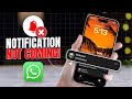 How to Fix WhatsApp Notifications Not Coming on iPhone | No Notification Sound Issue