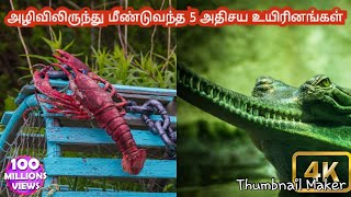 அழிவிலிருந்து மீண்டுவந்த 5 அதிசய உயிரினங்கள்  5 extinct animals that may still be alive  animal