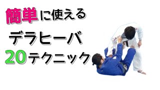 【４分】簡単に使えるデラヒーバ20テクニック