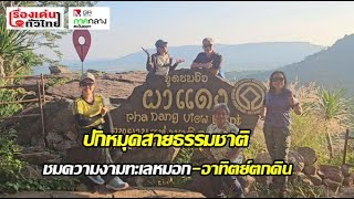 ปักหมุดสายธรรมชาติ ชมความงามทะเลหมอกผาแดง ตาพระยา : เรื่องเด่นทั่วไทย