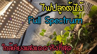 “Full spectrum” LED Grow Light หลอดไฟปลูกต้นไม้ ไฟปลูกไม้ด่าง ใกล้เคียงแสงแดดธรรมชาติที่สุด