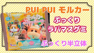 【PUI PUI モルカー】ぷっくりラバマスグミ