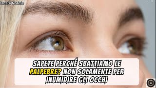 Perché sbattiamo le palpebre? La risposta ti sorprenderà!