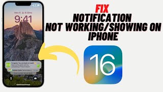 How to Fix iOS 16 Notification Not Working/Showing on iPhone