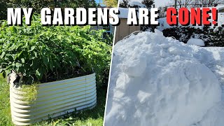 Gardening in Canada | RECORD SNOW February Garden Tour