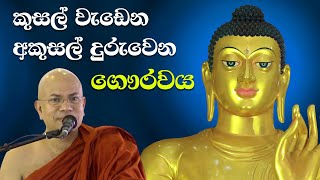 ශාස්තෘ ගෞරවය ධර්ම මාර්ගයට මූලිකවම බලපාන ආකාරය