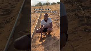 Regenerative agriculture in Namibia. Turning depleted sandy soils into fertile soils.