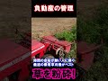 【時短】乗用草刈り機で素早く草刈りして時間効率上げてこー shorts 草刈り 乗用草刈り 農機具 ハンマーナイフモア