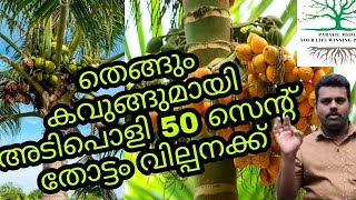 വാങ്ങാം നമുക്കൊരു 50 സെന്റ് തെങ്ങും കവുങ്ങും കൂടിയ തോട്ടം ചെറിയ വിലക്ക്