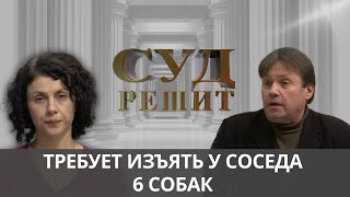 Конфликт из-за домашних животных: Суд решает судьбу шести собак. Суд решит 17.10.2024.