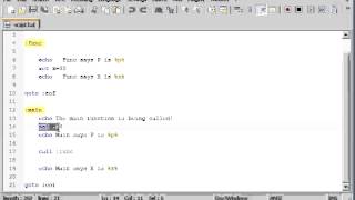 Batch 23 Function Local Scope