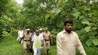 Jogu Ramanna-Haritha Haram at Narsapur Forest In Medak District 2017