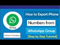 How to Export Phone Numbers from WhatsApp Group: to (Excel, VCF or CSV)