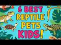 6 Best Reptile Pets for Kids