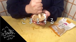 ASMR ごまをする2023 🦭