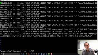 Apache Web Server Access Log