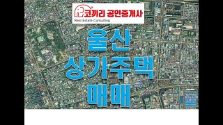 울산 남구 삼산동 상가주택 매매