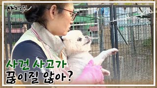 100마리 강아지가 지내는 유기견 쉼터!! 사건 사고가 끊이질 않는다?! MBN 220520 방송