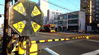 🇯🇵JPN.Rail: 伊予鉄鉄道交差点 / Tram and Railway Intersection…Matsuyama