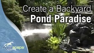 Create a Backyard Pond Paradise