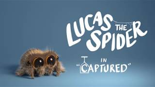 Lucas the Spider - Captured - Short