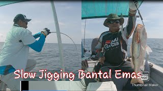 Slow Jigging Malaysia Slow Pitch Jigging Jenahak Sabak Bernam [Shimano Ocea Conquest]